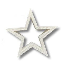 Christmas star